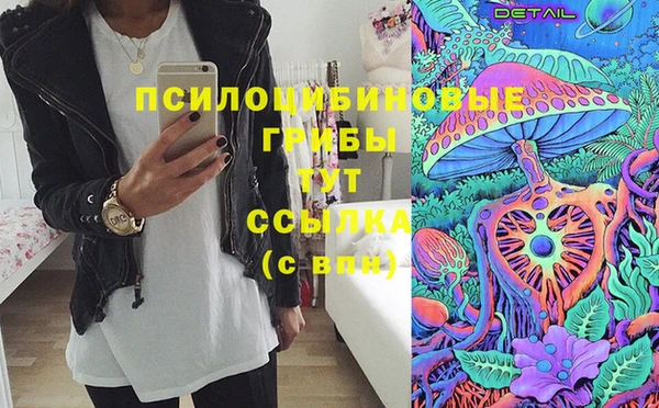 мдпв Алзамай