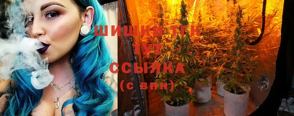 ГАЛЛЮЦИНОГЕННЫЕ ГРИБЫ Алексин