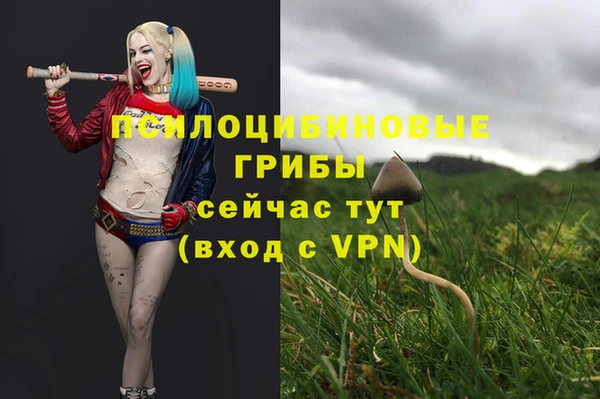 каннабис Алексеевка