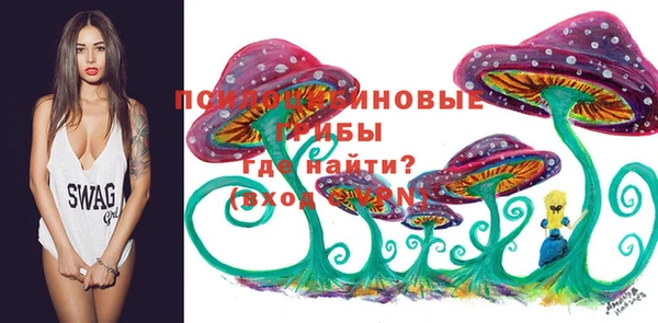 ГАЛЛЮЦИНОГЕННЫЕ ГРИБЫ Алексин
