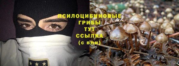 ГАЛЛЮЦИНОГЕННЫЕ ГРИБЫ Алексин