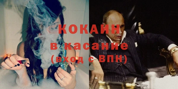 ГАЛЛЮЦИНОГЕННЫЕ ГРИБЫ Алексин